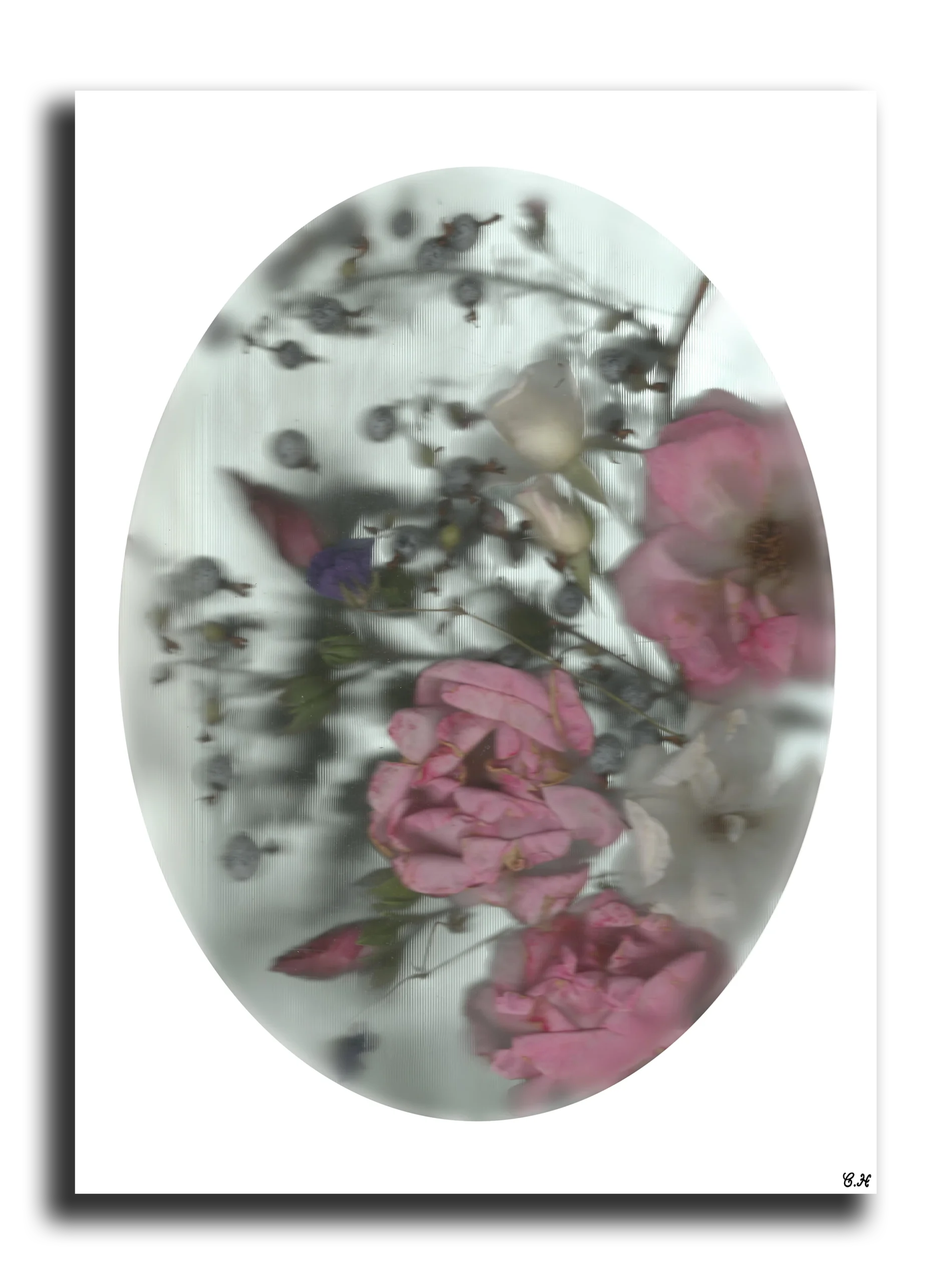 Photographie d'art: Collection Aesthetic Chills (Dust In The Wind)