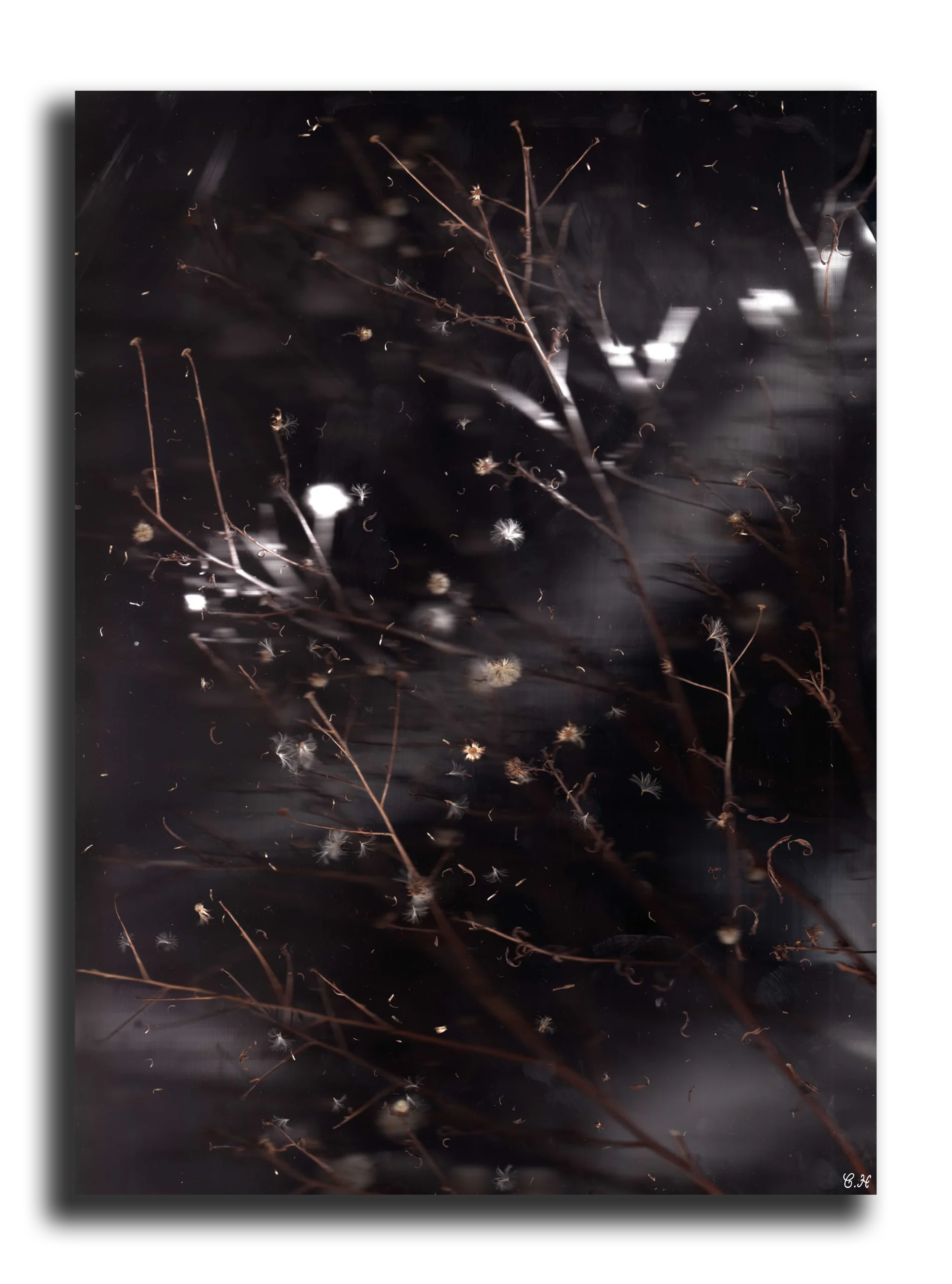 Photographie d'art: Collection Aesthetic Chills (Black Moon Dance version 1)