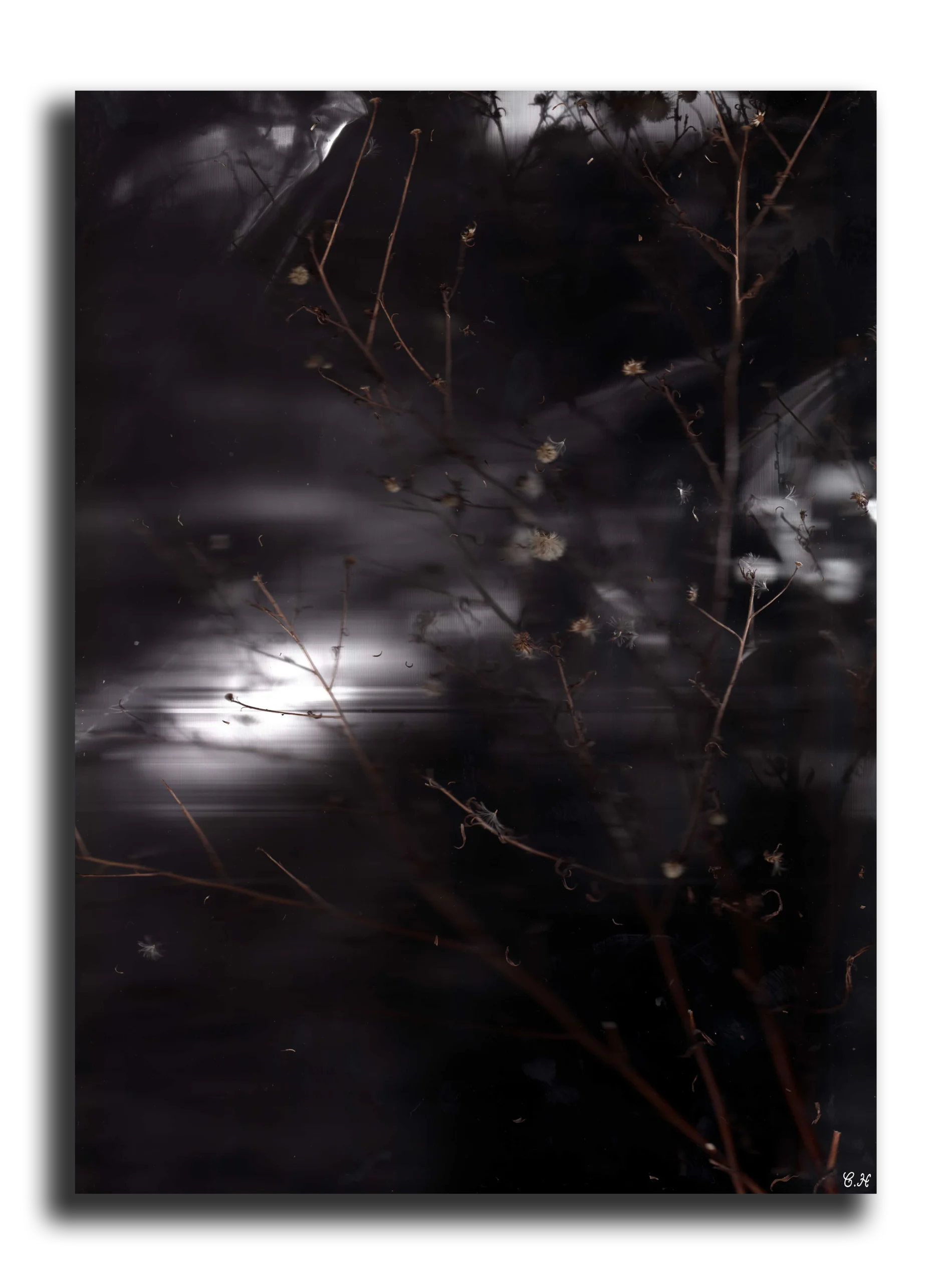 Photographie d'art: Collection Aesthetic Chills (Black Moon Dance version 2)