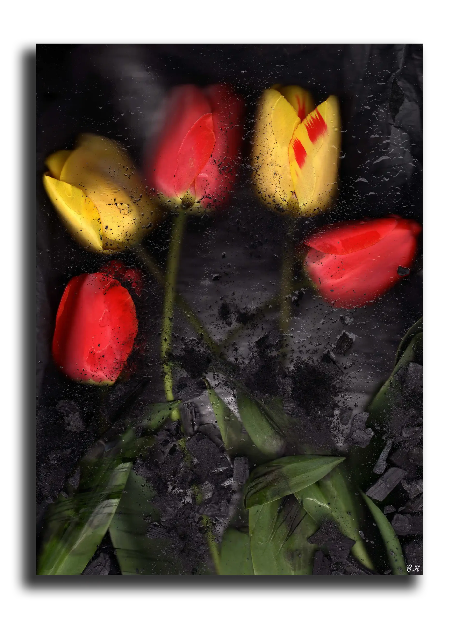 Photographie d'art: Collection Aesthetic Chills (Beautiful Burnout)
