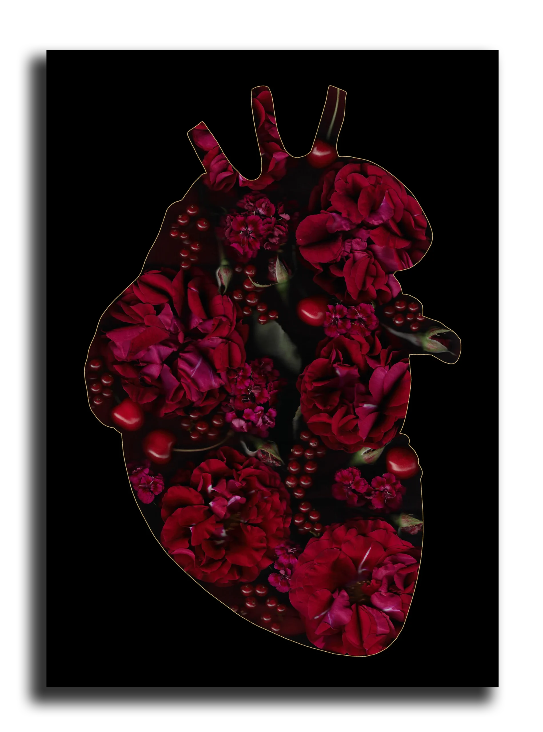Carte Postale: Inside Red Heart