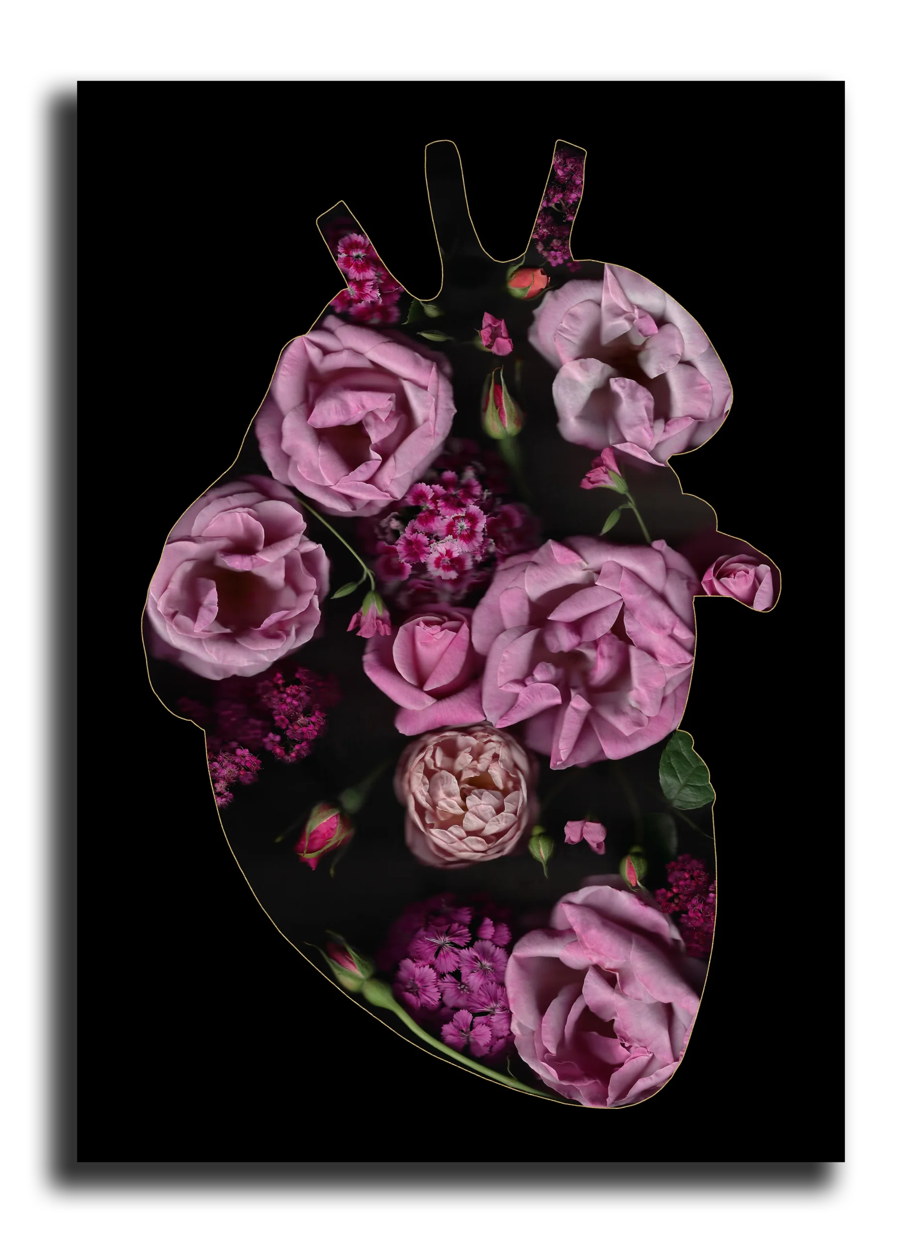 Carte Postale: Inside Pink Heart