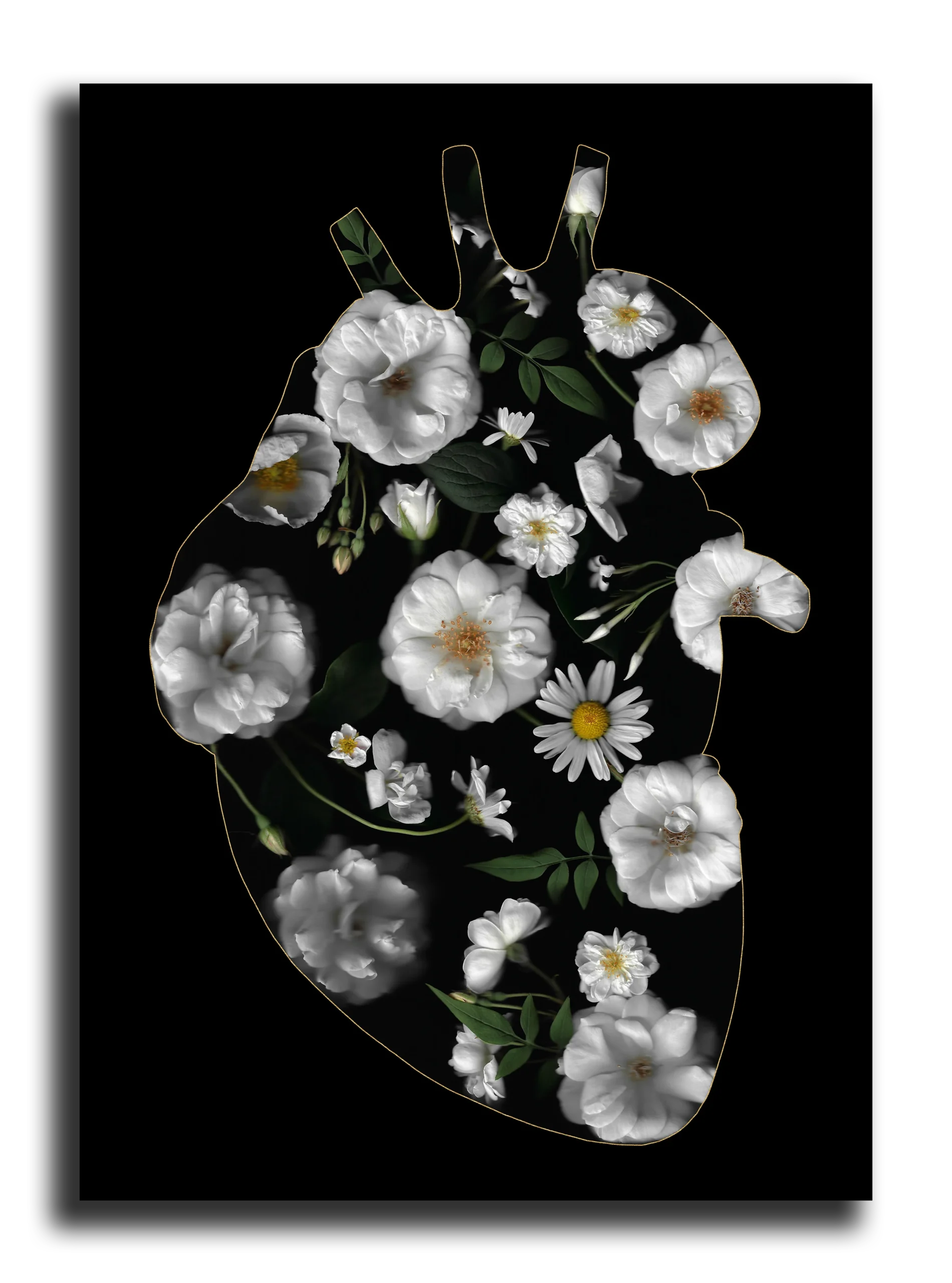 Carte Postale: Inside White Heart