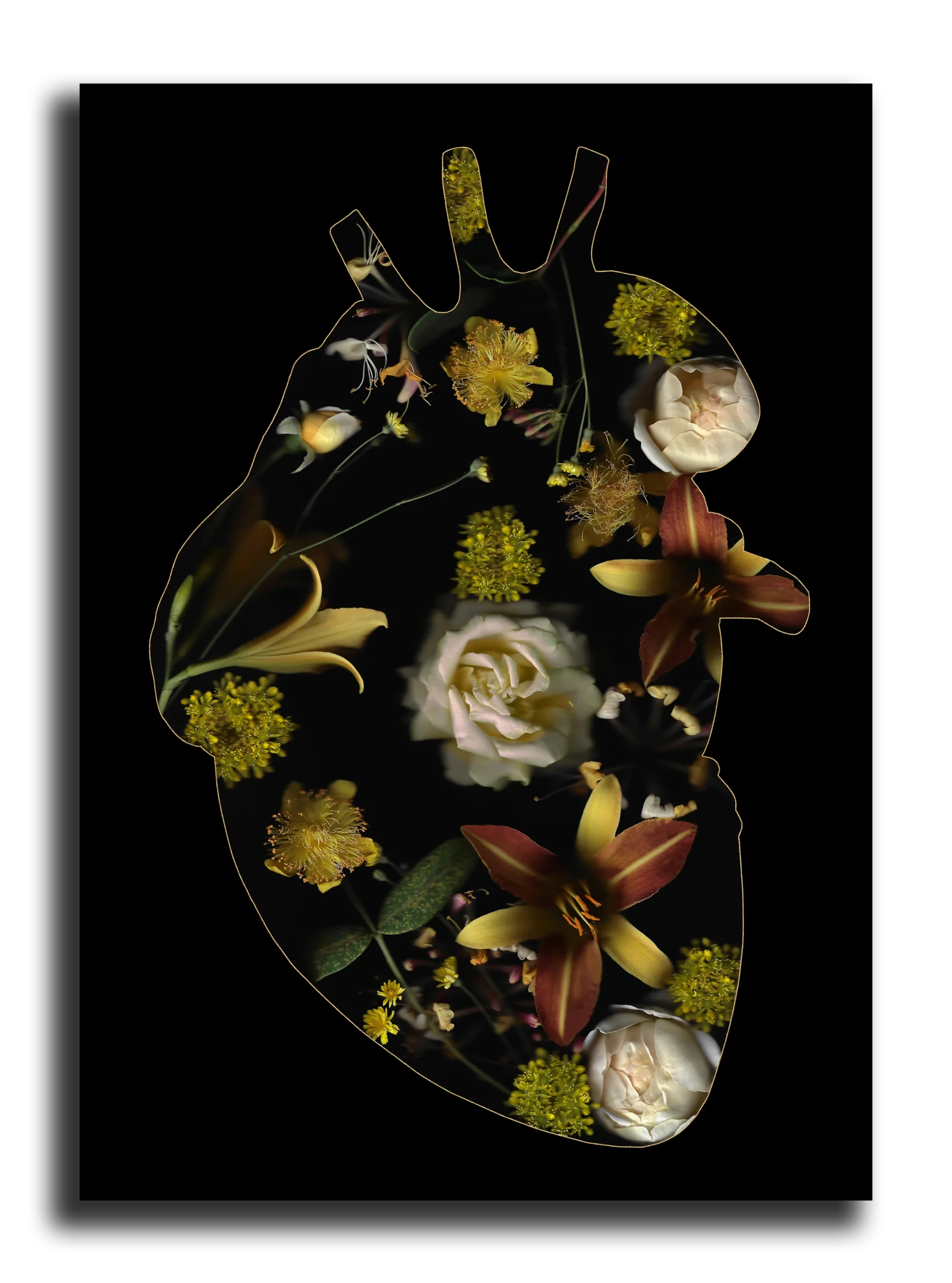 Carte Postale: Inside Yellow Heart