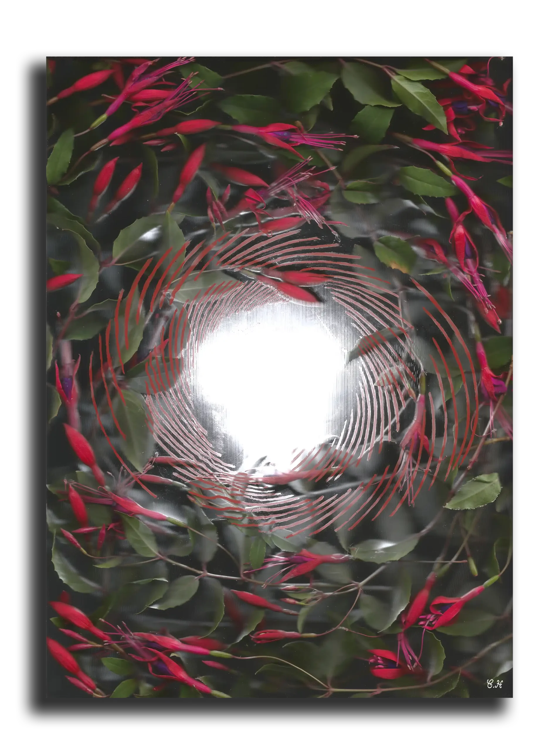 Photographie d'art: Collection Outside The Real (vertiginous love)
