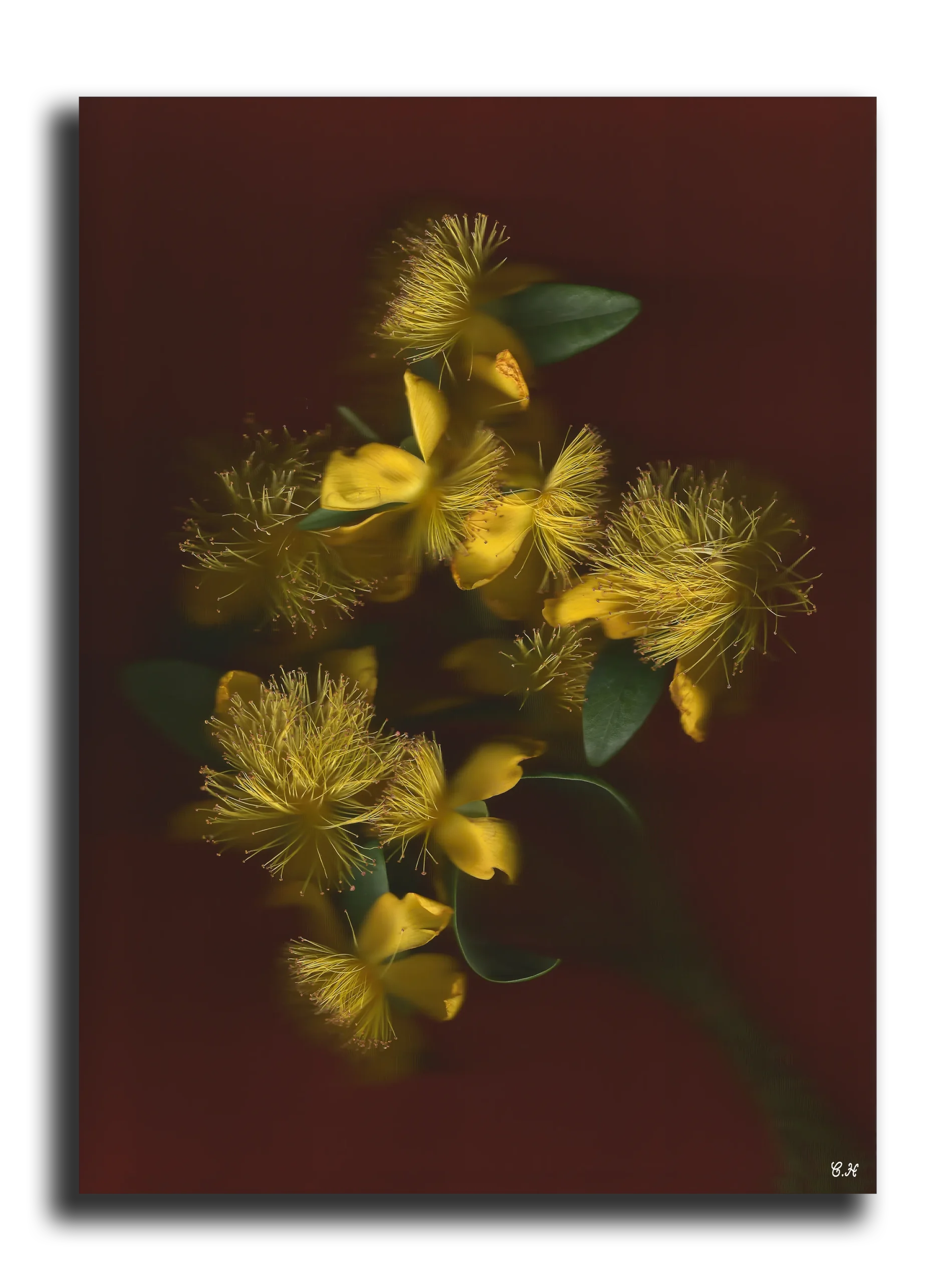 Photographie d'art: Collection Outside The Real (Saturday’s Meal)