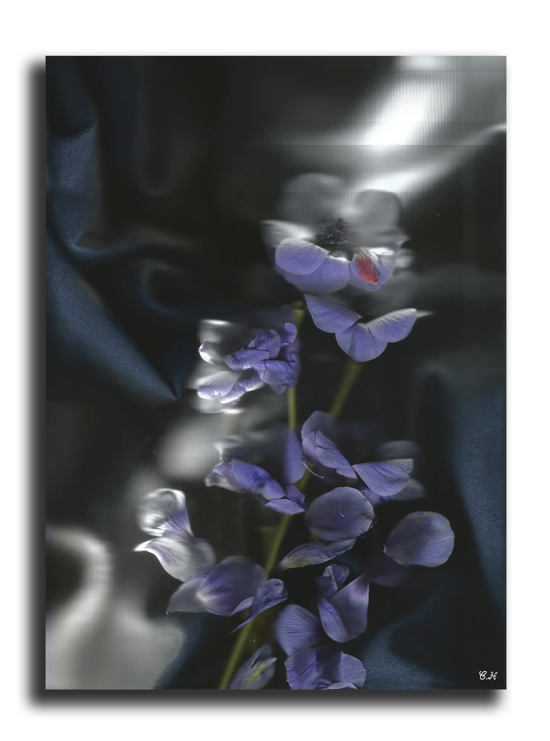 Photographie d'art: Collection Outside The Real (She Wore...)