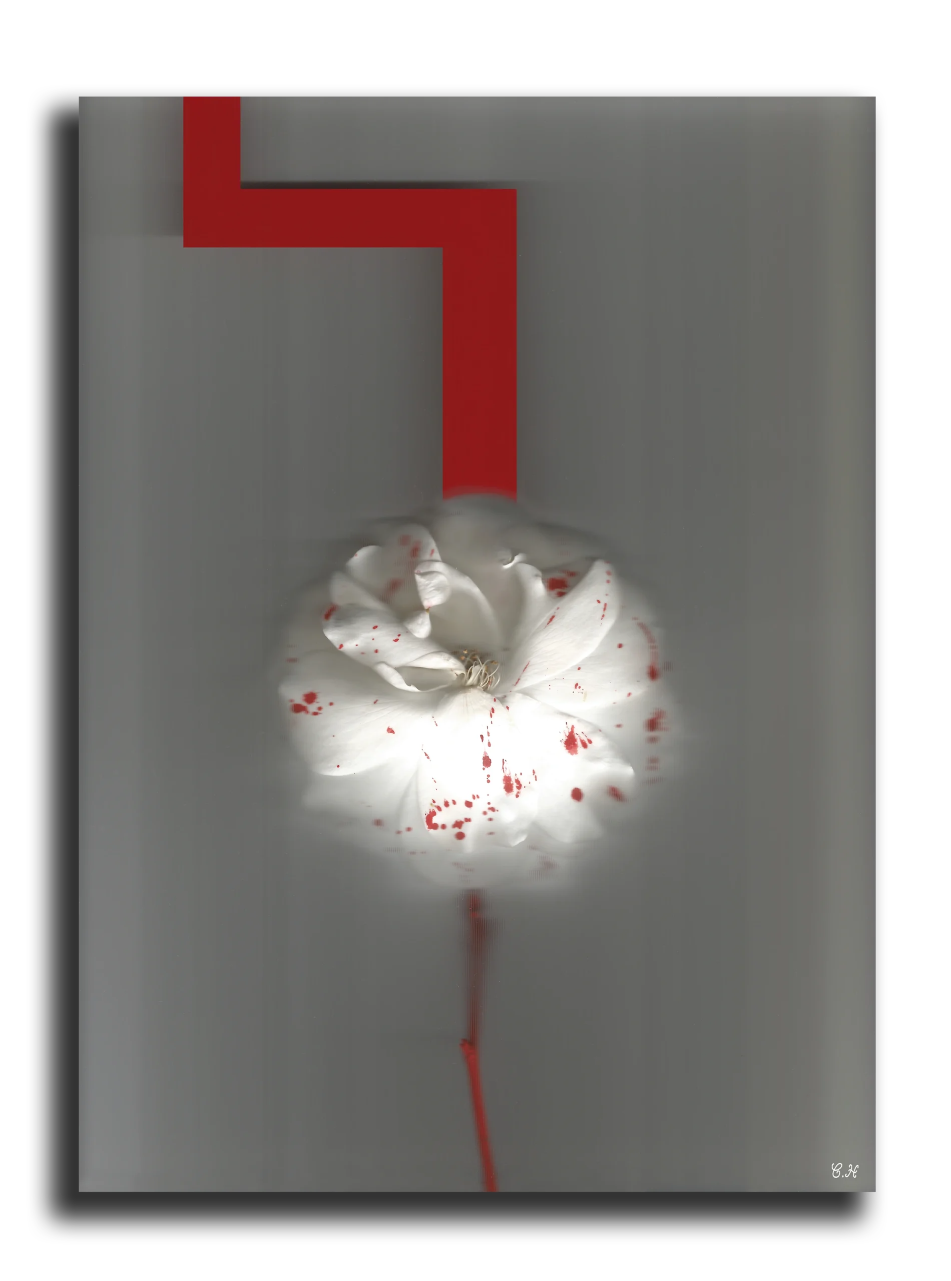 Photographie d'art: Collection Outside The Real (Walkyrie)