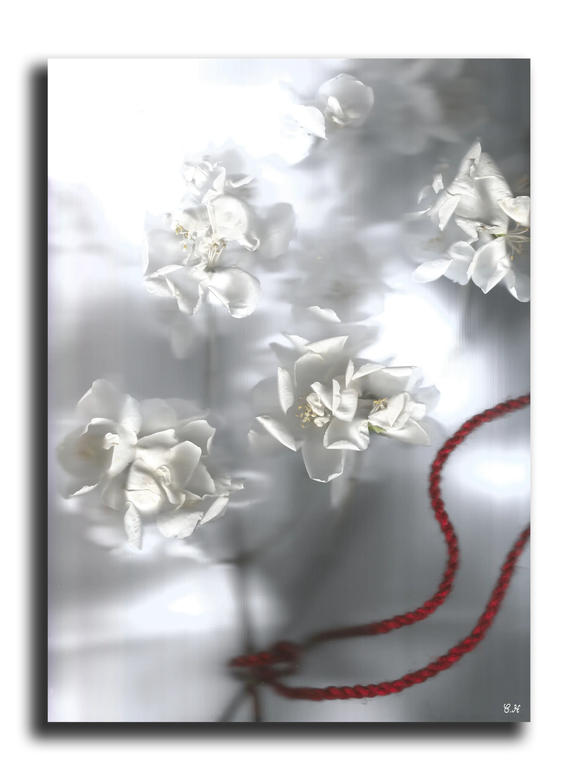 Photographie d'art: Collection Outside The Real (Matsumoto et Sawako)