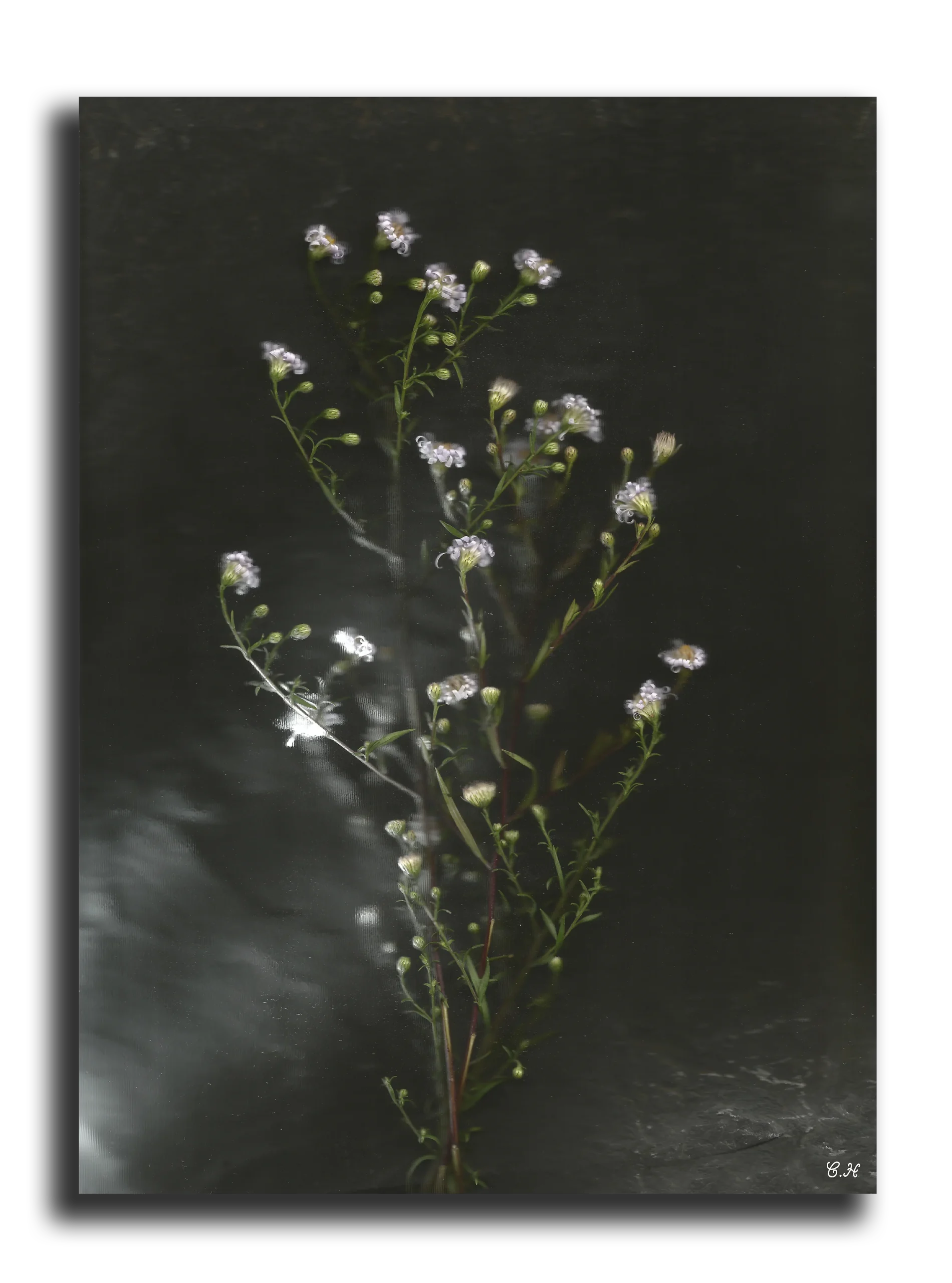 Photographie d'art: Collection Outside The Real (Bess's Breaking)